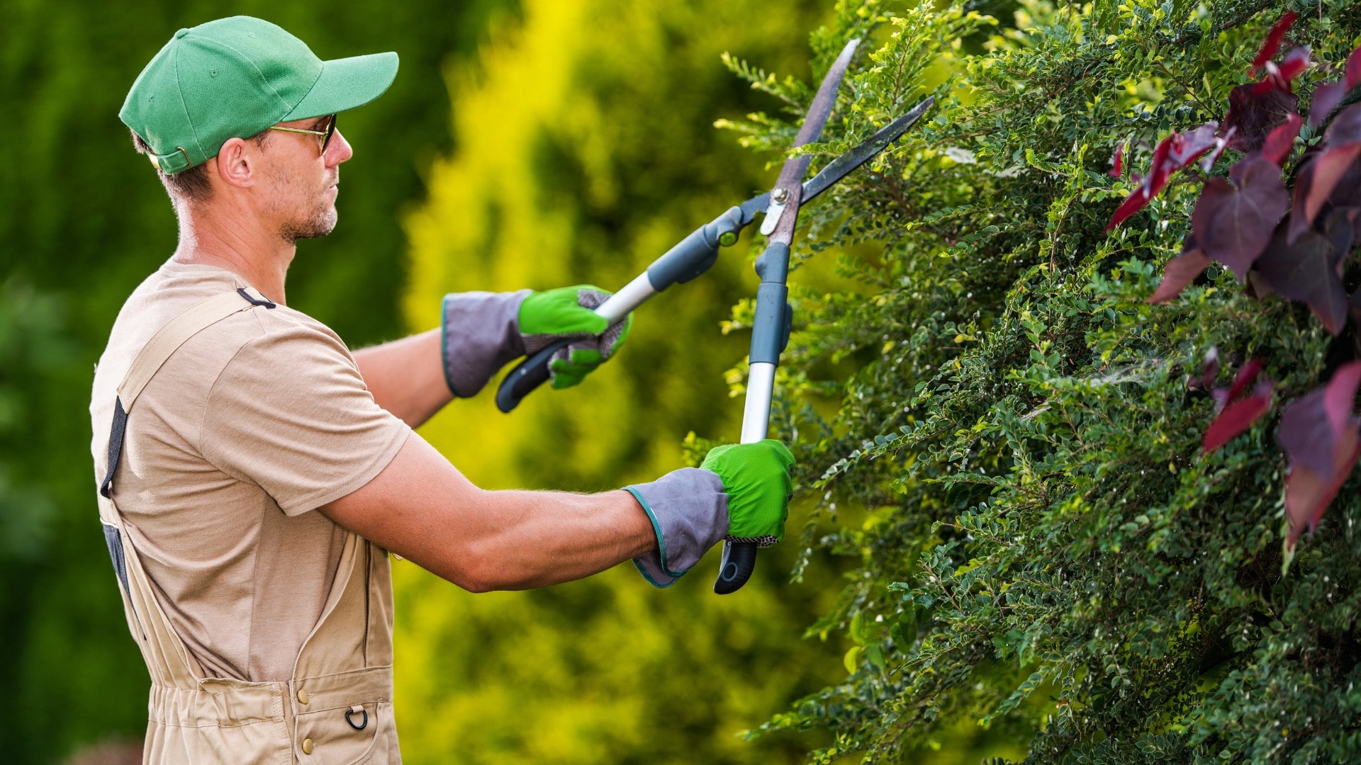 software gestionale giardinieri